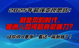 2025年最强变现思路，割韭菜的时代， 普通人如何翻身做镰刀？【揭秘】-小鸿资源库