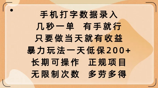 手机打字数据录入,几秒一单,有手就行,只要做当天就有收益,暴力玩法一天低保2张-小鸿资源库