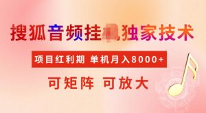 首发搜狐音频挂JI，项目红利期，可矩阵可放大，稳定月入5k【揭秘】-小鸿资源库