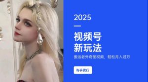 搬运老外奇葩视频，撸视频号分成计划收益，每天只需一小时，新手小白轻松月入过W-小鸿资源库