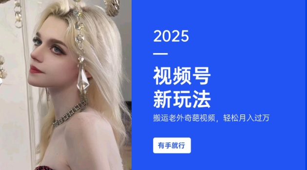 搬运老外奇葩视频，撸视频号分成计划收益，每天只需一小时，新手小白轻松月入过W-小鸿资源库