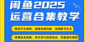 2025闲鱼电商运营全集，2025最新咸鱼玩法-小鸿资源库