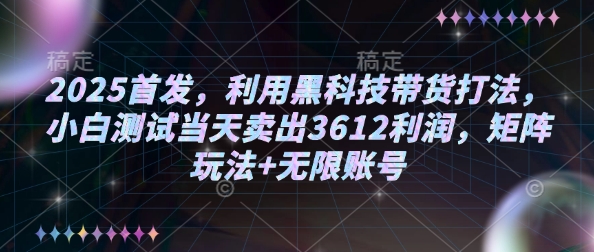 2025首发，利用黑科技带货打法，小白测试当天卖出3612利润，矩阵玩法+无限账号【揭秘】-小鸿资源库