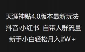 天涯神贴4.0版本最新玩法，抖音·小红书自带人群流量，新手小白轻松月入过W-小鸿资源库