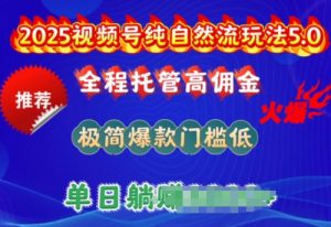 2025视频号纯自然流玩法5.0，全程托管高佣金，极简爆款门槛低，单日收益多张【揭秘】-小鸿资源库