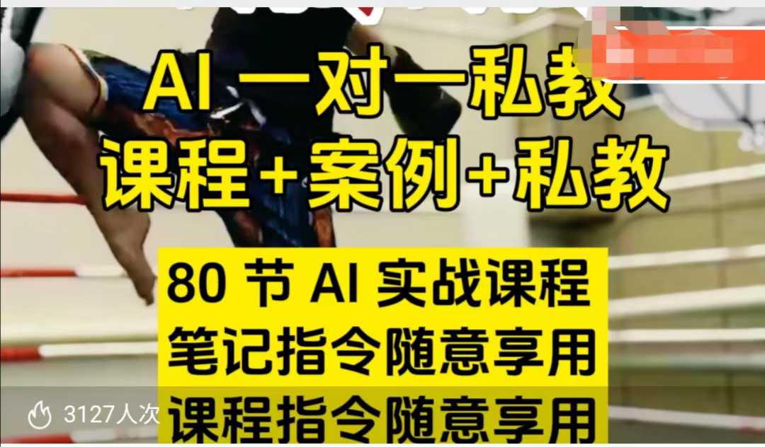 AI指令实战课，课程+案例，80节AI实战课程，笔记指令随意享用，课程指令随意享用-小鸿资源库