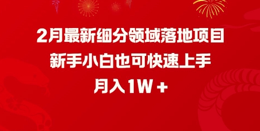 2月最新细分领域落地项目,新手小白也可快速上手,月入1W-小鸿资源库