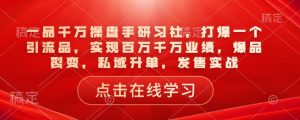 一品千万操盘手研习社，打爆一个引流品，实现百万千万业绩，爆品裂变，私域升单，发售实战-小鸿资源库