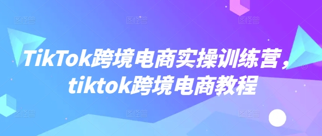 TikTok跨境电商实操训练营,tiktok跨境电商教程-小鸿资源库