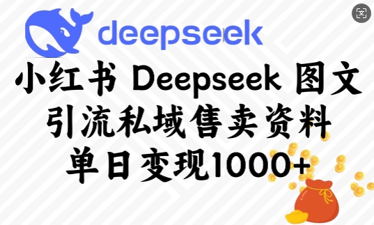 小红书Deepseek图文引流私域售卖资料，单日变现多张-小鸿资源库