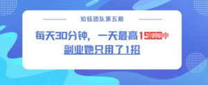 副业她只用了1招，每天30分钟，无脑二创，一天最高1.5k-小鸿资源库