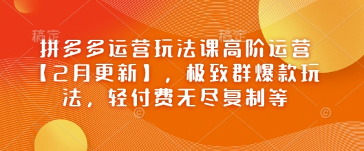 拼多多运营玩法课高阶运营【2月更新】，极致群爆款玩法，轻付费无尽复制等-小鸿资源库