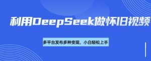 利用DeepSeek做怀旧视频，流量号多渠道变现能力强-小鸿资源库