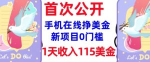 在线挣美金新项目，0门槛，1天收入115美刀，无脑操作，真正被动收入-小鸿资源库
