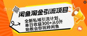 闲鱼淘金私域引流计划，从0开始玩转闲鱼，副业也可以挣到全职的工资-小鸿资源库