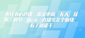 小红书必修课，覆盖电商，无人，获客，种草，mcn，直播等多个板块，看了就能干-小鸿资源库