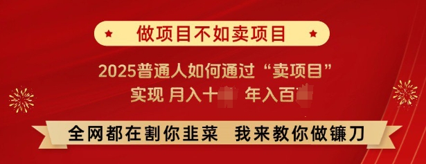 必看，做项目不如卖项目，2025普通人如何通过“卖项目”实现月入十个，年入百个-小鸿资源库