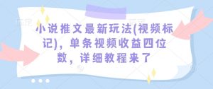 小说推文最新玩法(视频标记)，单条视频收益四位数，详细教程来了-小鸿资源库