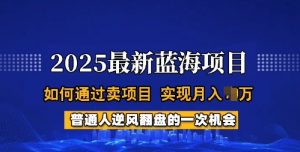 2025蓝海项目，普通人如何通过卖项目，实现月入过W，全过程【揭秘】-小鸿资源库