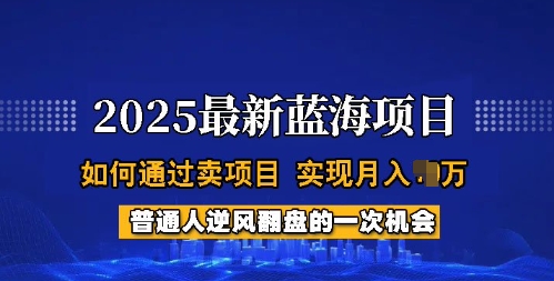 2025蓝海项目，普通人如何通过卖项目，实现月入过W，全过程【揭秘】-小鸿资源库