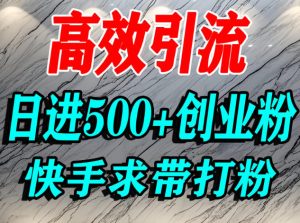怎么打创业粉？快手求带视角精准引流创业粉，宝妈、学生群体日进500+精准流量-小鸿资源库