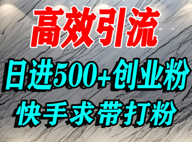 怎么打创业粉？快手求带视角精准引流创业粉，宝妈、学生群体日进500+精准流量-小鸿资源库