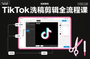 TikTok洗稿剪辑全流程课，PR洗稿剪辑全流程，TK洗稿运营课-小鸿资源库