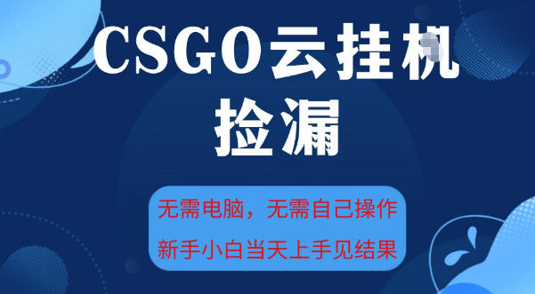 CSGO云挂G全自动捡漏，最新独家玩法，无需电脑操作，新手小白日入5张+【揭秘】-小鸿资源库