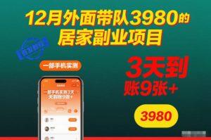 12月外面带队3980的居家副业项目，一部手机实测3天到账9张+，首发教程【揭秘】-小鸿资源库