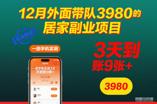 12月外面带队3980的居家副业项目，一部手机实测3天到账9张+，首发教程【揭秘】-小鸿资源库