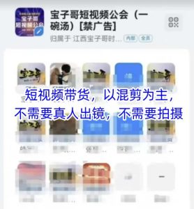 宝子哥头部团队短视频带货，以混剪为主，不需要真人出镜，不需要拍摄【更新11月】-小鸿资源库
