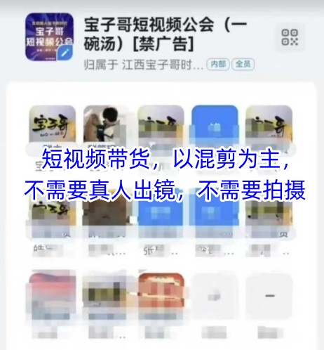 宝子哥头部团队短视频带货，以混剪为主，不需要真人出镜，不需要拍摄【更新11月】-小鸿资源库