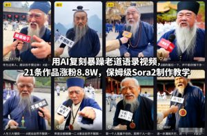 用AI复刻暴躁老道语录视频，21条作品涨粉8.8W，保姆级Sora2制作教学-小鸿资源库