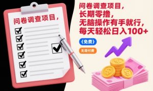 问卷调查项目，长期零撸，无脑操作有手就行，每天轻松日入100+【揭秘】-小鸿资源库
