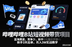 哔哩哔哩B站短视频带货项目，蓝海赛道，竞争少，新手3天出单，月入3W实战教学-小鸿资源库