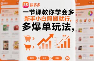 一节课教你学会拼多多爆单玩法，新手小白照搬就行-小鸿资源库