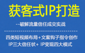 获客型IP打造，破解流量信任成，四类短视频布局+文案钩子指令创作IP三大信任状+IP变现四大模式-小鸿资源库