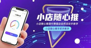 小店随心推微付费撬动自然流投手教学，小店随心推手把手教学-小鸿资源库