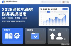 2025跨境电商财务实操指南，从后台到账本，算清每一分利润，系统讲解-案例实操-专业提升-小鸿资源库