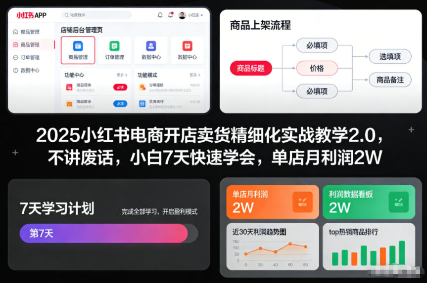 2025小红书电商开店卖货精细化实战教学2.0，不讲废话，小白7天快速学会，单店月利润2W-小鸿资源库