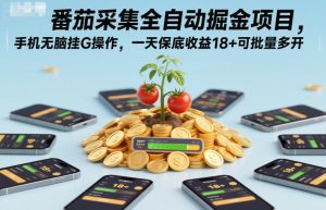 番茄采集全自动掘金项目，手机无脑挂G操作，一天保底收益18+可批量多开【揭秘】-小鸿资源库
