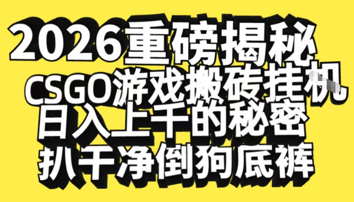 2026开年重磅解密，CSGO游戏搬砖挂G日入1k+的秘密，把倒狗的底裤扒干【揭秘】-小鸿资源库