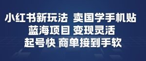 小红书新玩法，卖国学手机贴，蓝海项目，变现灵活，起号快，商单接到手软-小鸿资源库
