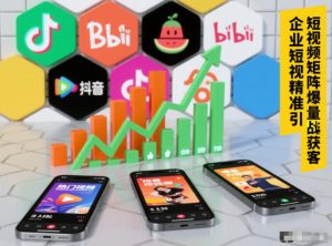 企业短视频精准引流矩阵获客，短视频矩阵爆量战法-小鸿资源库