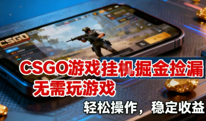 CSGO游戏挂G掘金捡漏，不需要玩游戏，操作简单，收益稳定【揭秘】-小鸿资源库