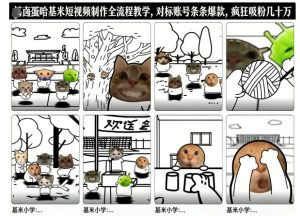 卤蛋哈基米短视频制作全流程教学，条条爆款，疯狂吸粉几十万-小鸿资源库