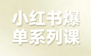 小红书爆单系列课，聚焦小红书电商全链路增长（更新）-小鸿资源库