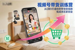 视频号带货训练营，从0到1打造你的带货变现路，低成本在家创业-小鸿资源库