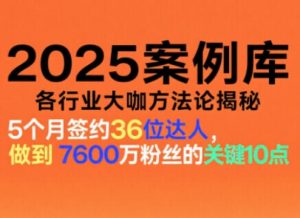 2025案例库，收录各行业大咖的方法论，各行业大咖方法论揭秘-小鸿资源库