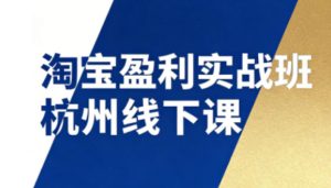 淘宝盈利实战班杭州线下课12月26-28日（音频+字幕），帮你掌握SOP流程+12门核心技术-小鸿资源库